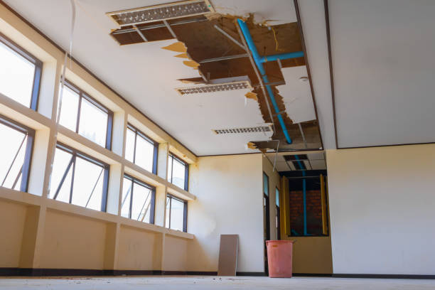 Best Water damage cleanup near me  in Snow Hill, MD