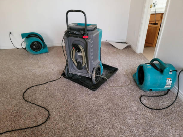 Best Professional water damage repair  in Snow Hill, MD
