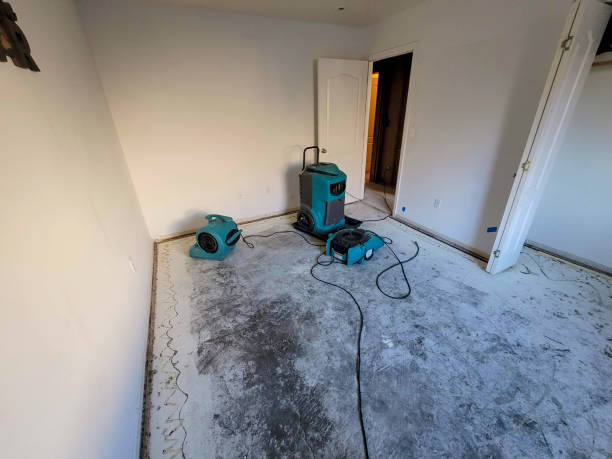 Best 24-hour water damage restoration  in Snow Hill, MD