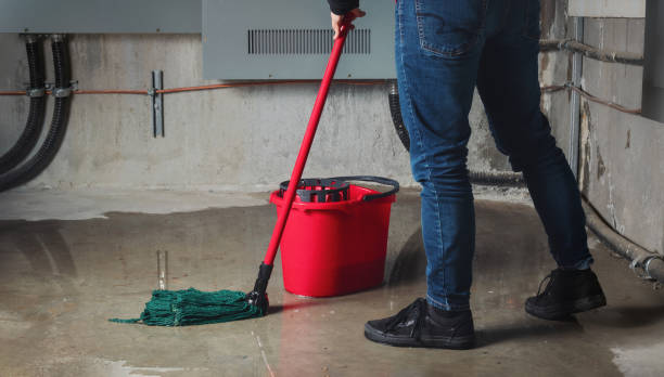 Best Ceiling water damage repair  in Snow Hill, MD