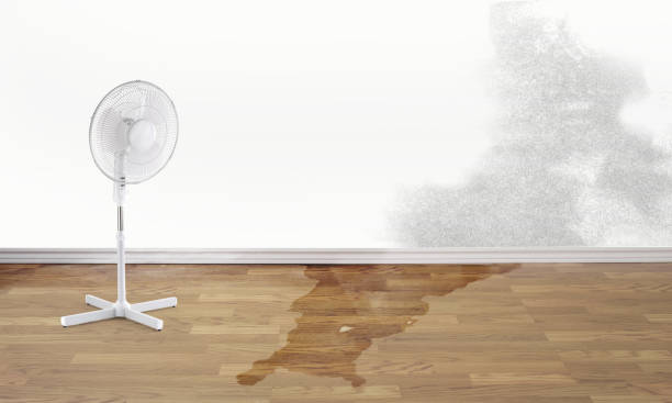 Best Flood restoration services  in Snow Hill, MD