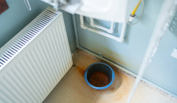 Best Basement water damage restoration  in Snow Hill, MD