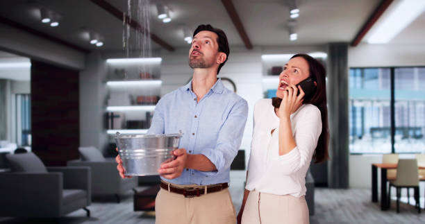 Best Carpet water damage restoration  in Snow Hill, MD