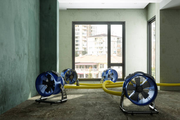 Best Sewage cleanup and water damage restoration  in Snow Hill, MD